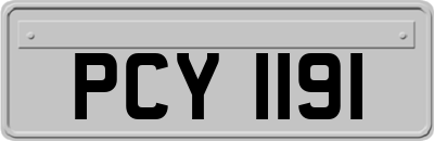 PCY1191