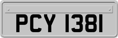PCY1381