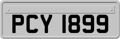 PCY1899