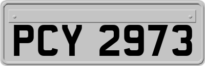 PCY2973