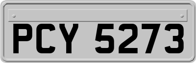 PCY5273