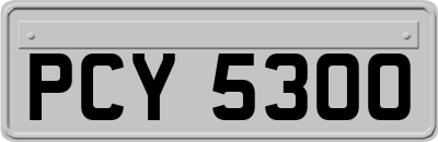 PCY5300