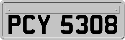 PCY5308