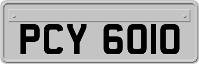 PCY6010