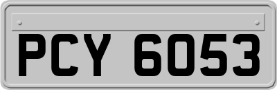 PCY6053