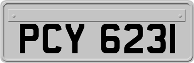 PCY6231