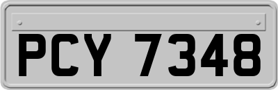 PCY7348