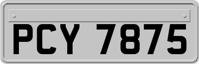 PCY7875