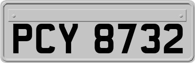 PCY8732