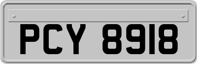 PCY8918