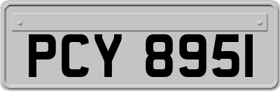 PCY8951