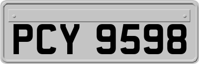 PCY9598