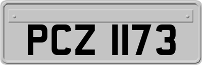 PCZ1173