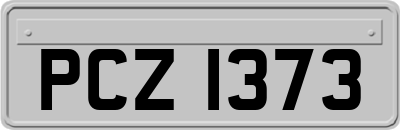 PCZ1373