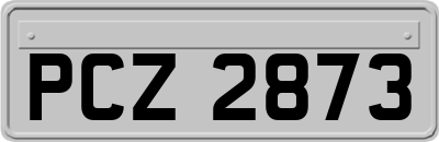 PCZ2873