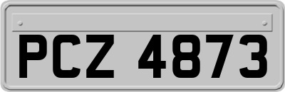PCZ4873