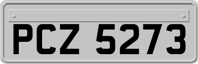 PCZ5273