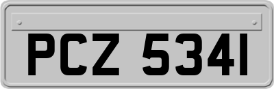PCZ5341
