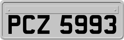 PCZ5993