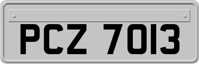 PCZ7013