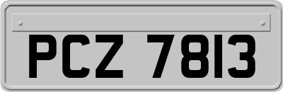PCZ7813