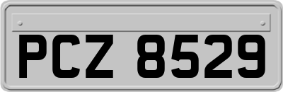 PCZ8529