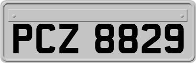 PCZ8829