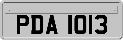 PDA1013