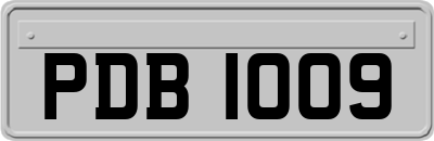 PDB1009
