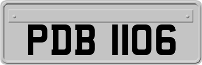 PDB1106