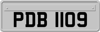 PDB1109