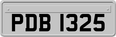PDB1325