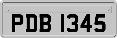 PDB1345