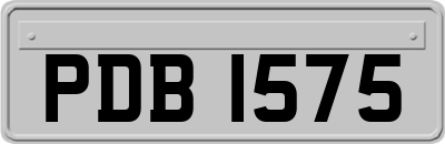 PDB1575