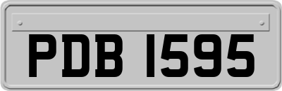 PDB1595