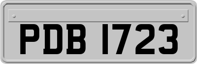 PDB1723
