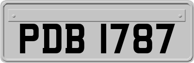 PDB1787