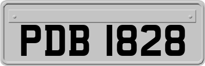 PDB1828