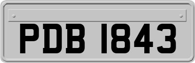 PDB1843