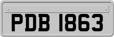 PDB1863