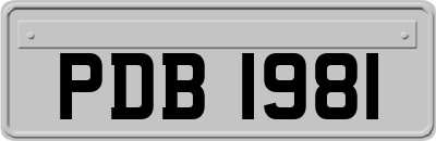 PDB1981