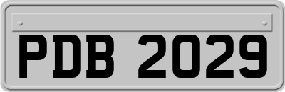 PDB2029