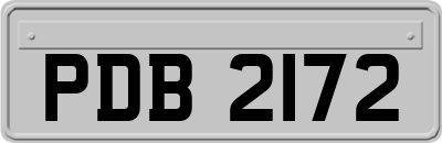 PDB2172