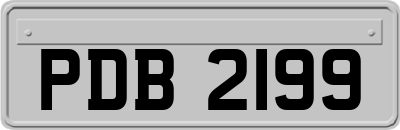 PDB2199