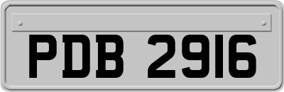 PDB2916