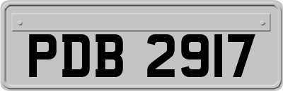 PDB2917