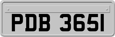 PDB3651