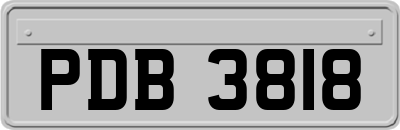 PDB3818