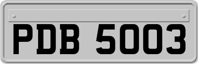 PDB5003