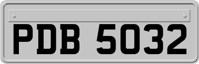 PDB5032